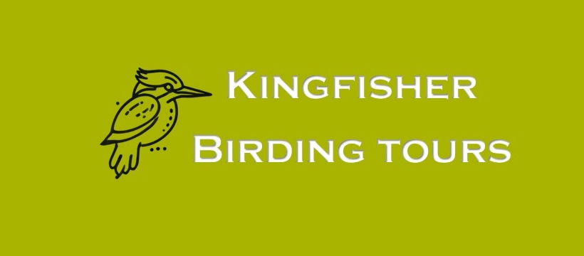 KingFisher Birding Tours